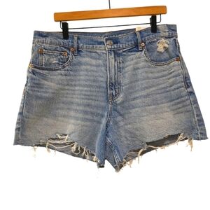 American Eagle Outfitters Blue Jean Shorts